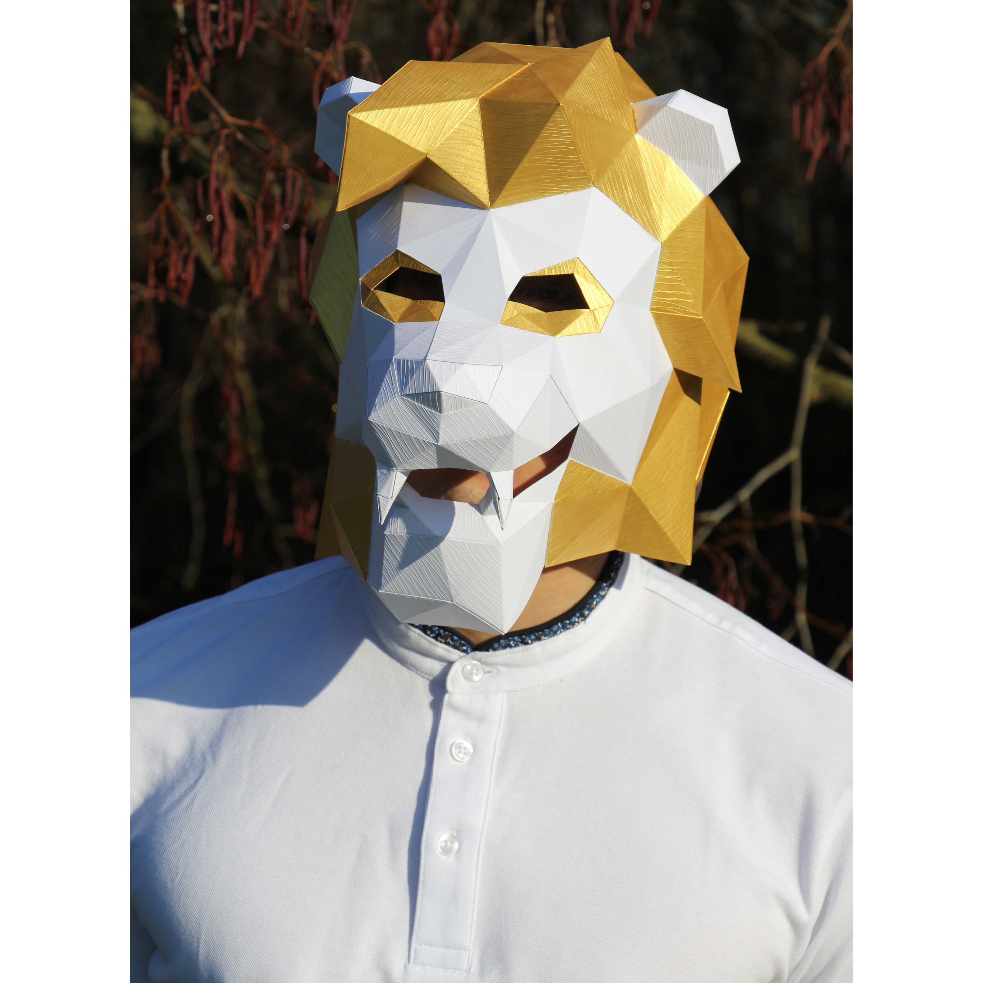 Lion Mask Templates (pdf)