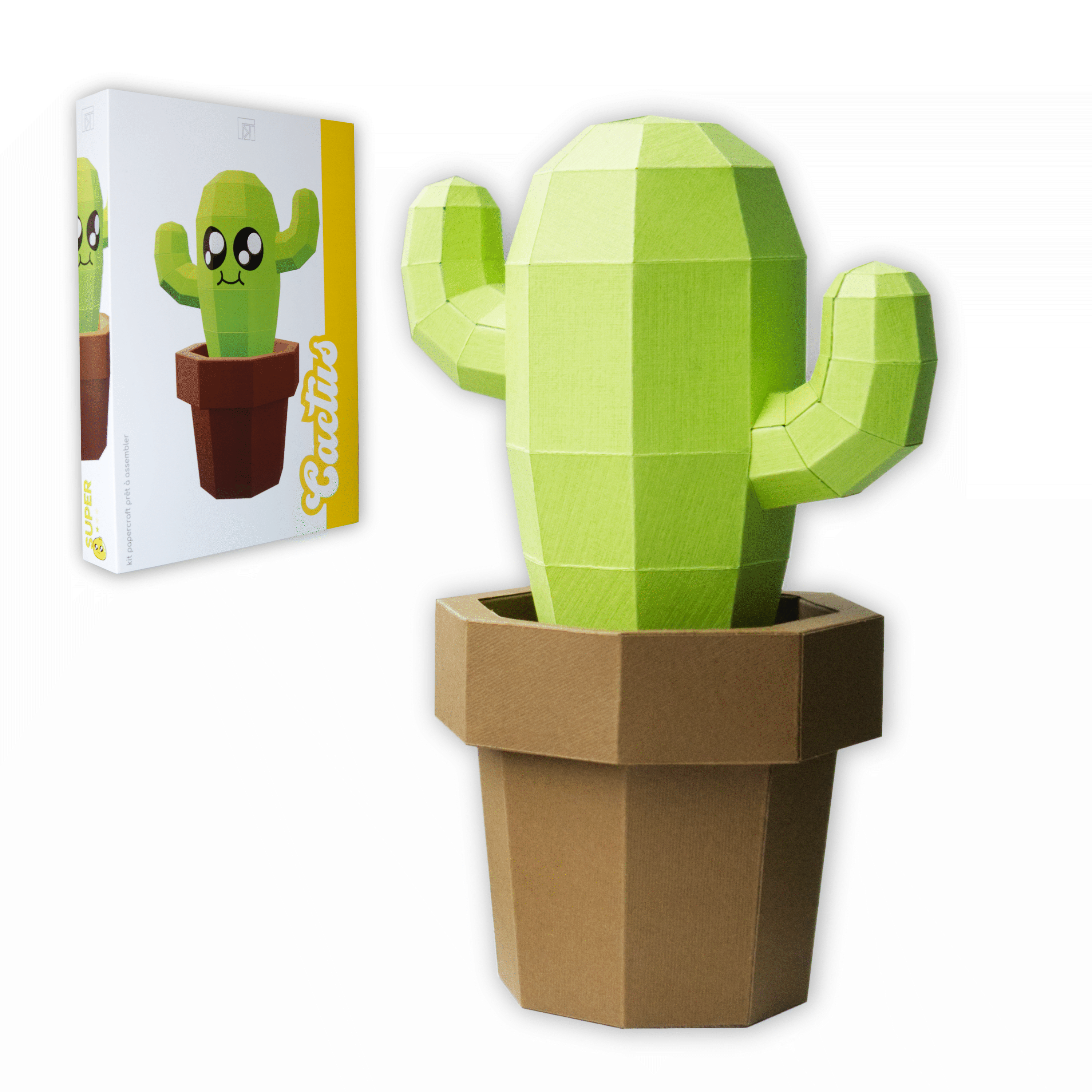 Cactus Kit