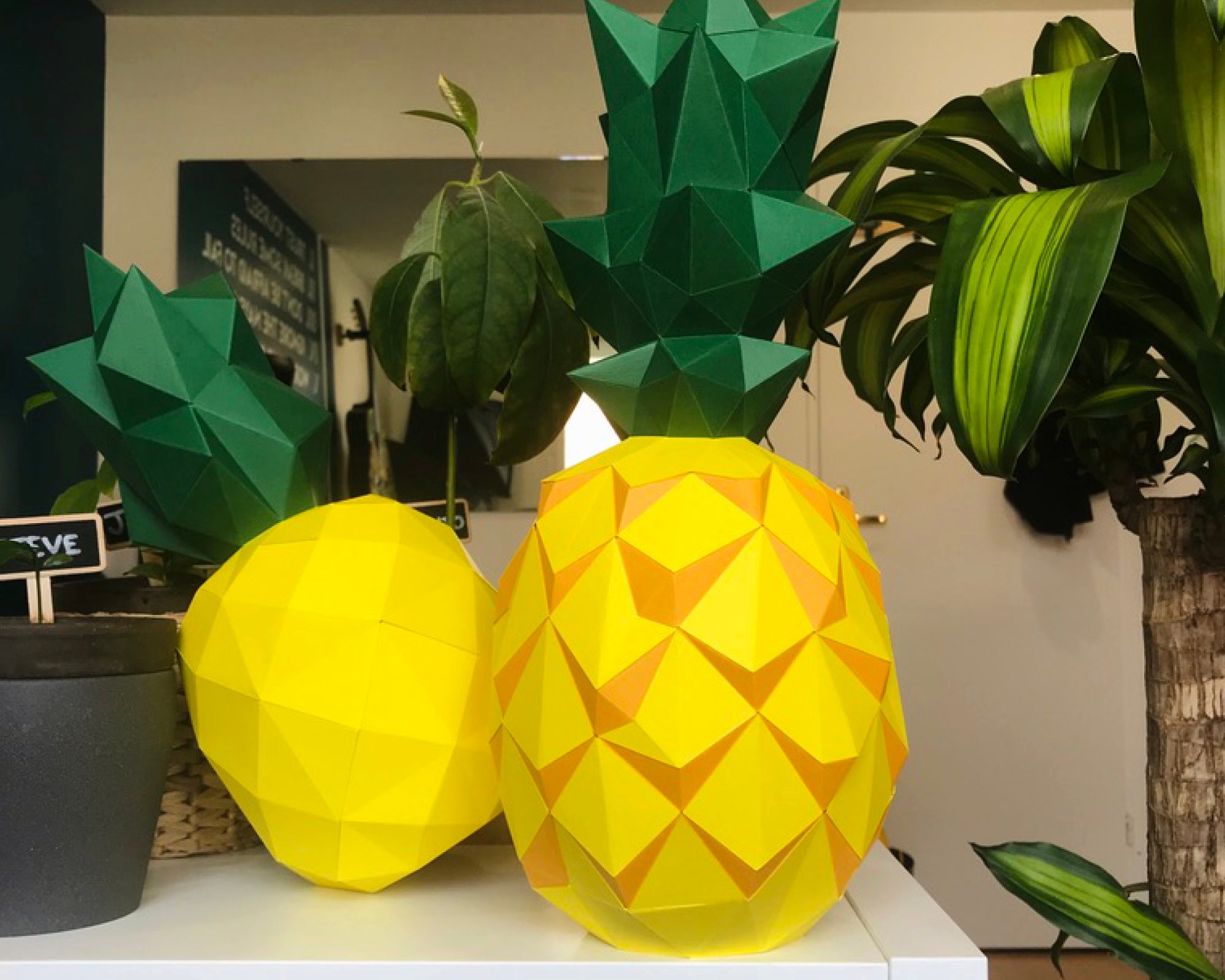 Pineapple Templates (pdf)